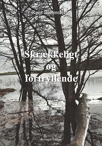 bog
